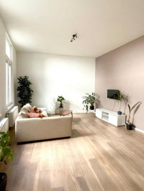 Spacious apartment in the heart of Antwerp